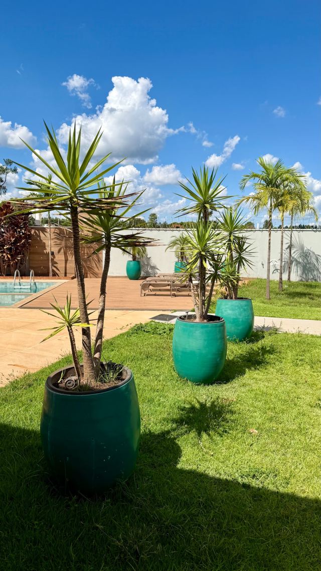 Gramado com palmeiras em vasos ao lado da piscina